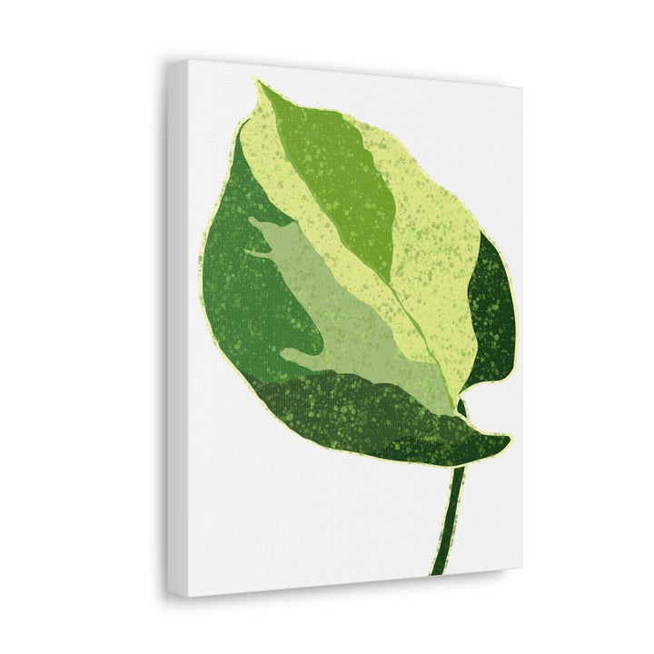 Pothos Canvas Print – Matte Finish Canvas Art Print With Durable Cotton Material - Laura Christine Photography & Design