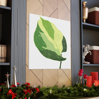 Manjula Pothos Canvas