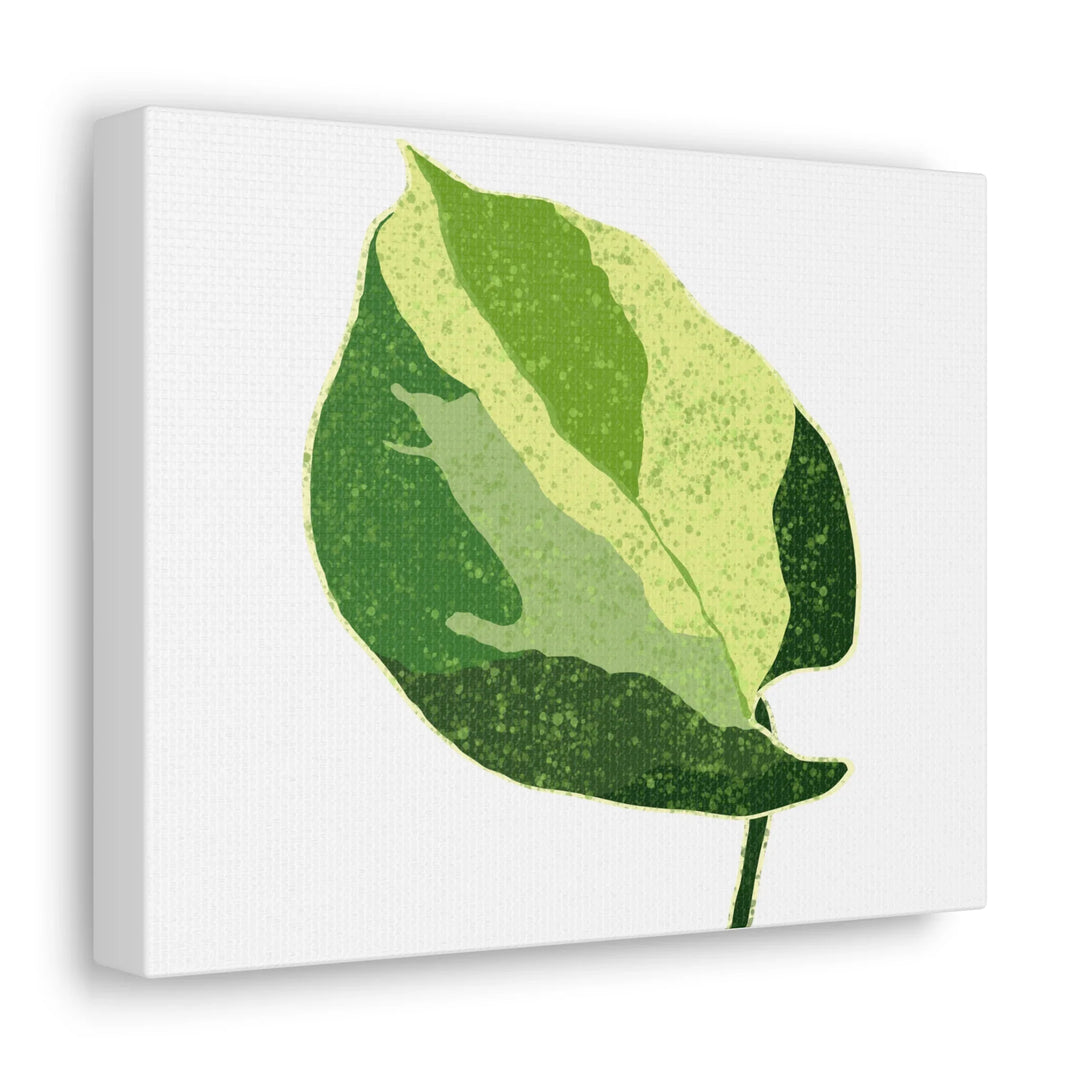 Pothos Canvas Print – Matte Finish Canvas Art Print With Durable Cotton Material - Laura Christine Photography & Design