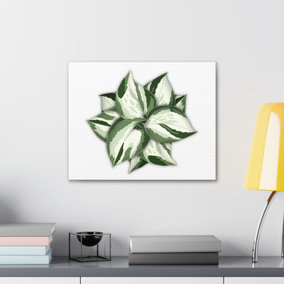 Manjula Pothos Canvas