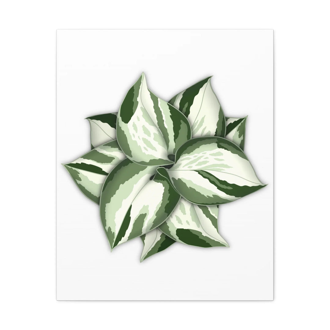 Manjula Pothos Canvas | Botanical Canvas Print - Indoor Plant Print Wall Art - Laura Christine Photography & Design