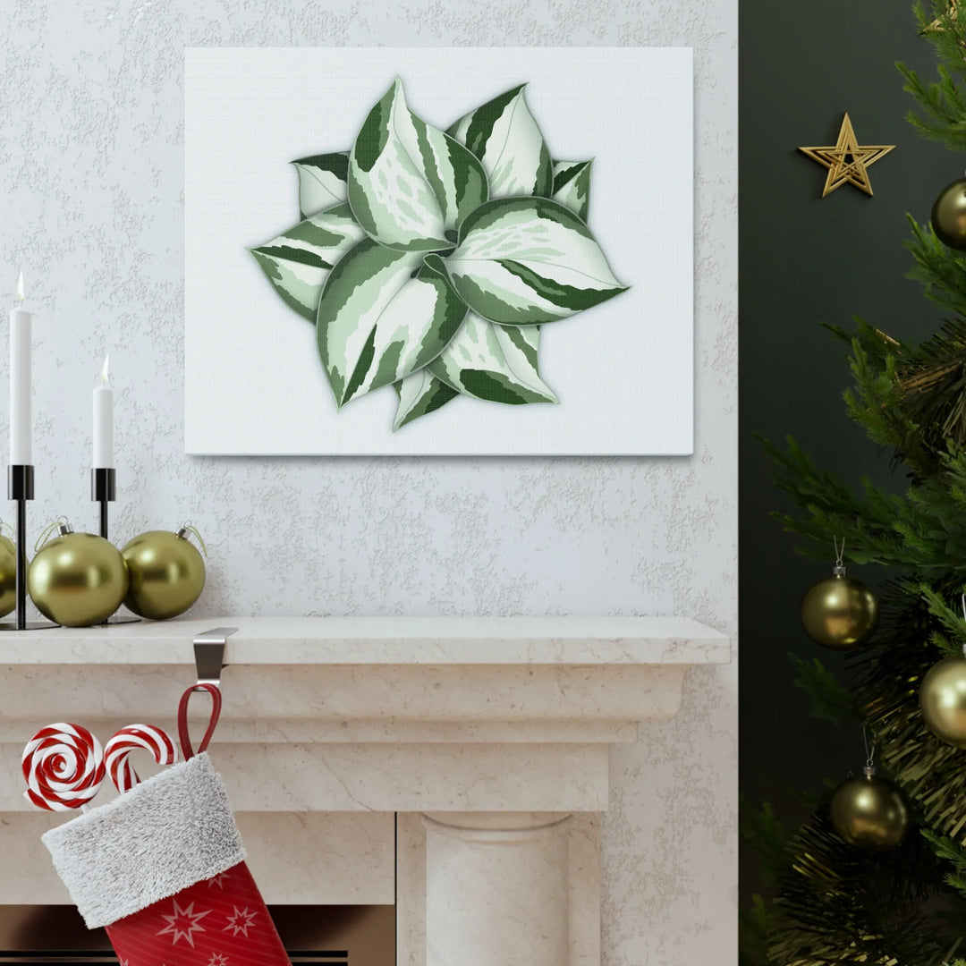 Manjula Pothos Canvas | Botanical Canvas Print - Indoor Plant Print Wall Art - Laura Christine Photography & Design