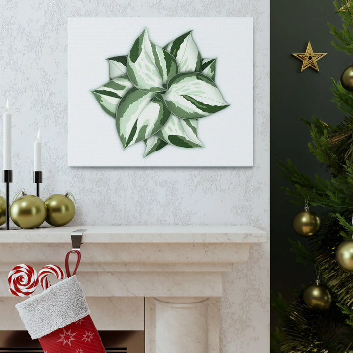 Manjula Pothos Canvas | Botanical Canvas Print - Indoor Plant Print Wall Art - Laura Christine Photography & Design