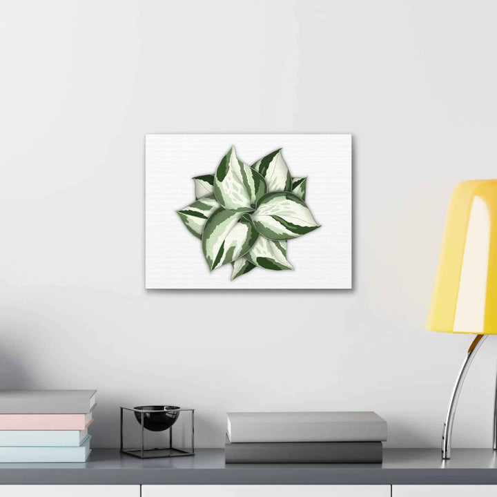 Manjula Pothos Canvas | Botanical Canvas Print - Indoor Plant Print Wall Art