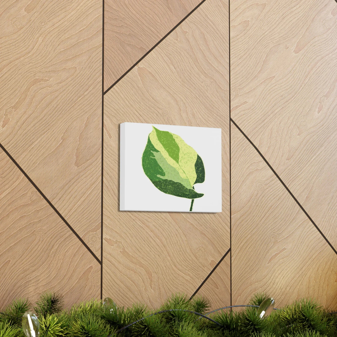 Pothos Canvas Print – Matte Finish Canvas Art Print With Durable Cotton Material - Laura Christine Photography & Design