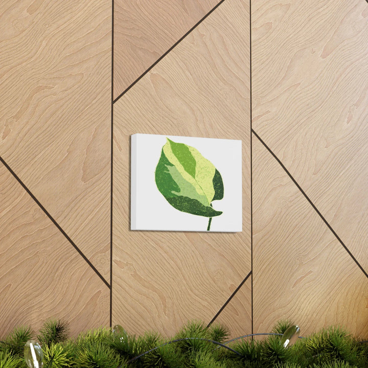 Pothos Canvas Print – Matte Finish Canvas Art Print With Durable Cotton Material - Laura Christine Photography & Design