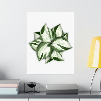 Manjula Pothos Print