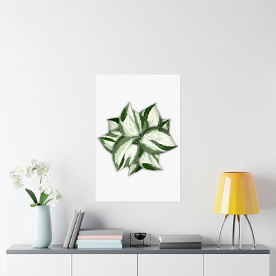 Manjula Pothos Print