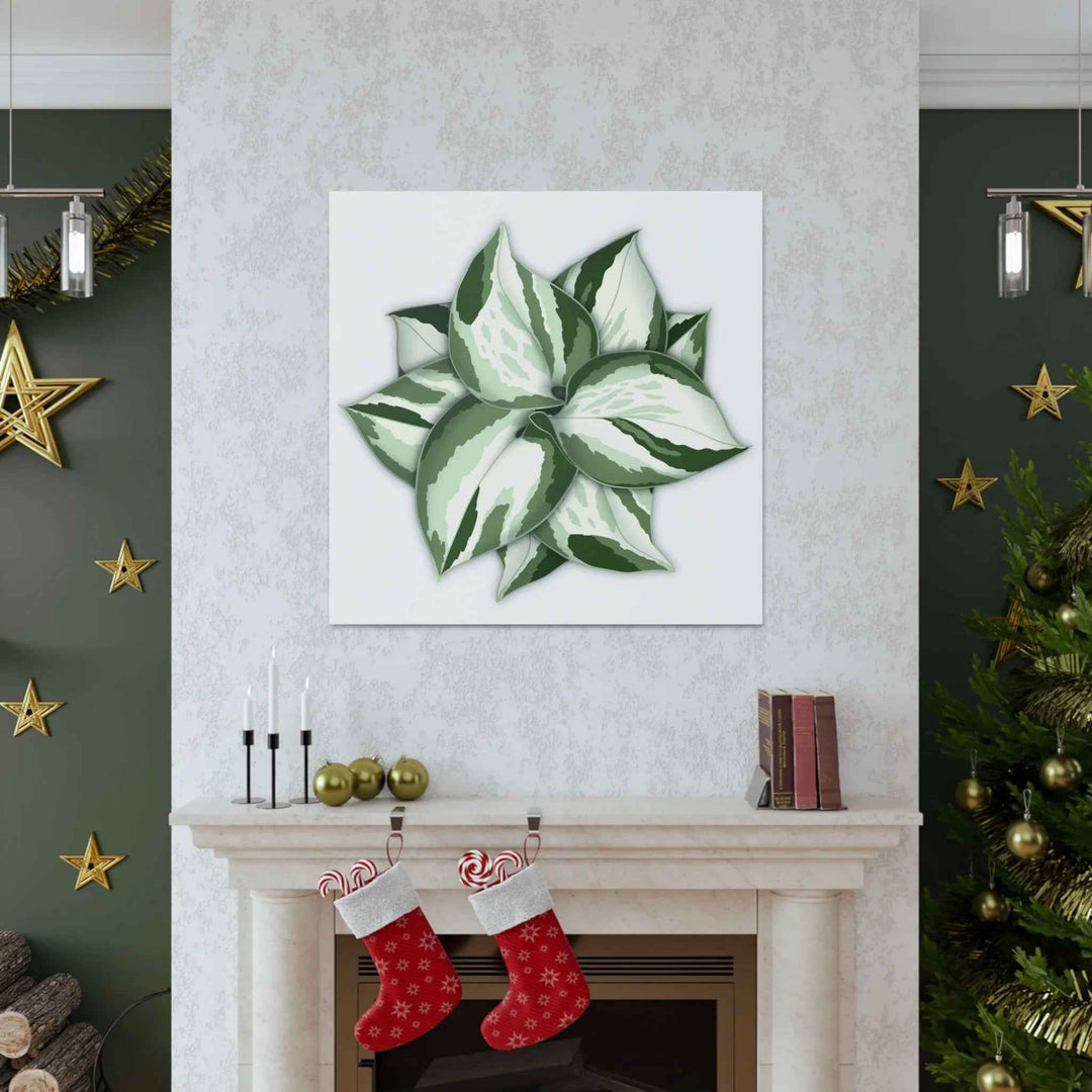 Manjula Pothos Canvas | Botanical Canvas Print - Indoor Plant Print Wall Art