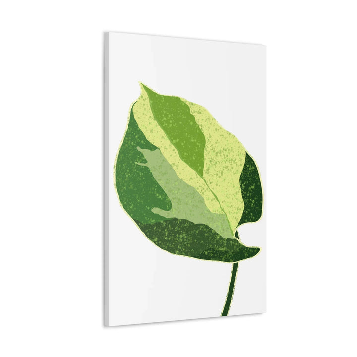 Pothos Canvas Print – Matte Finish Canvas Art Print With Durable Cotton Material - Laura Christine Photography & Design