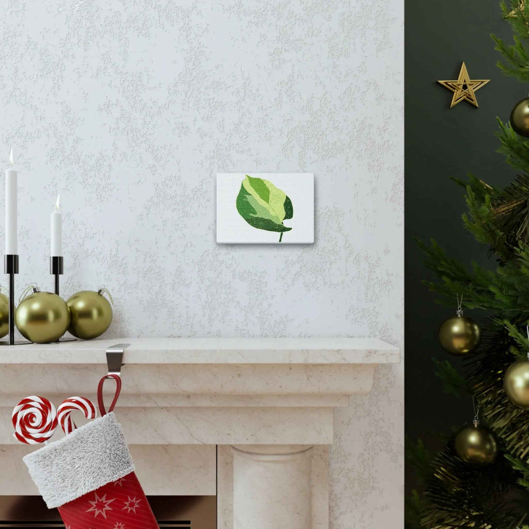 Pothos Canvas Print – Matte Finish Canvas Art Print With Durable Cotton Material