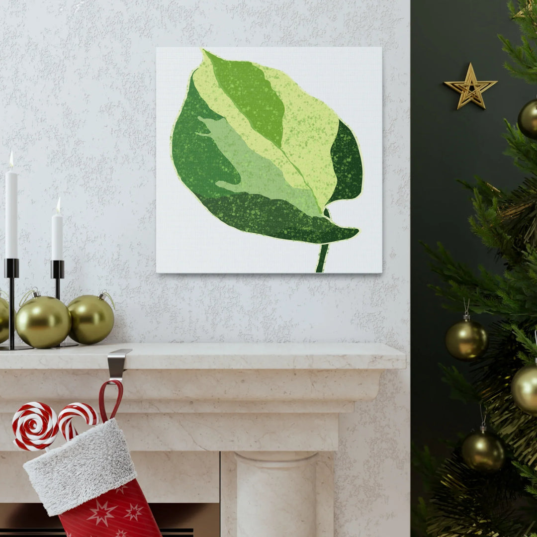 Pothos Canvas Print – Matte Finish Canvas Art Print With Durable Cotton Material - Laura Christine Photography & Design