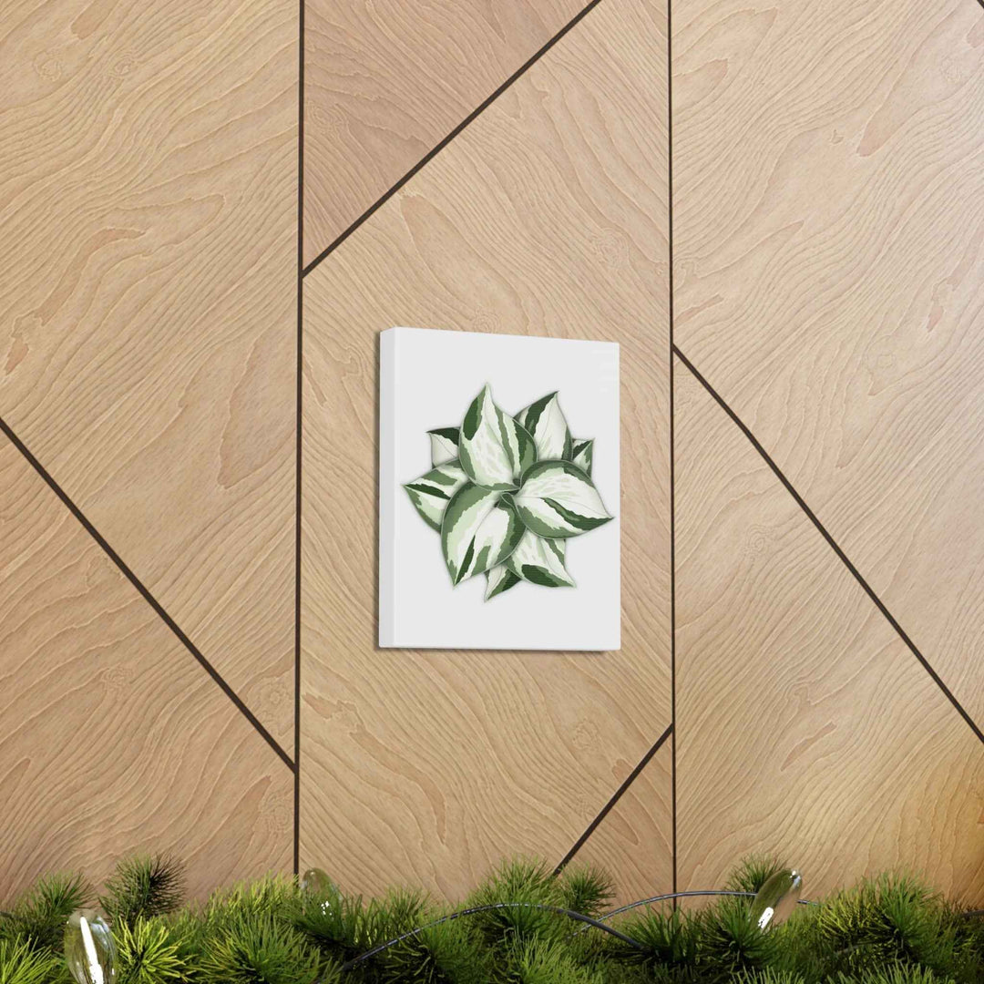 Manjula Pothos Canvas | Botanical Canvas Print - Indoor Plant Print Wall Art
