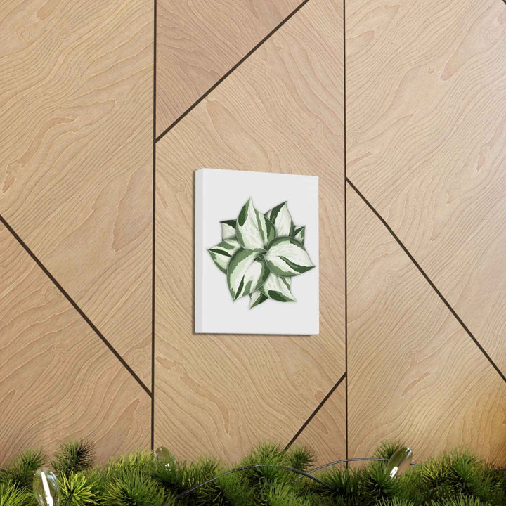 Manjula Pothos Canvas | Botanical Canvas Print - Indoor Plant Print Wall Art