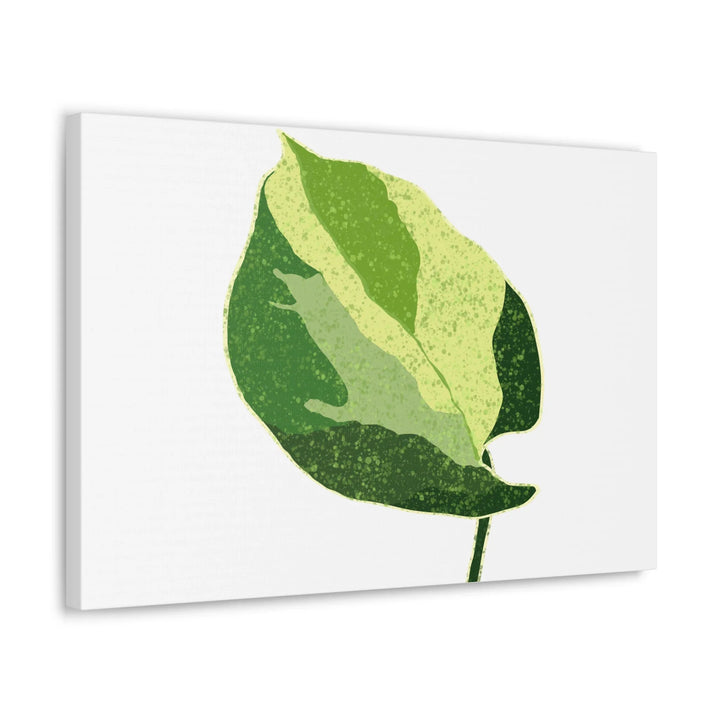 Pothos Canvas Print – Matte Finish Canvas Art Print With Durable Cotton Material - Laura Christine Photography & Design