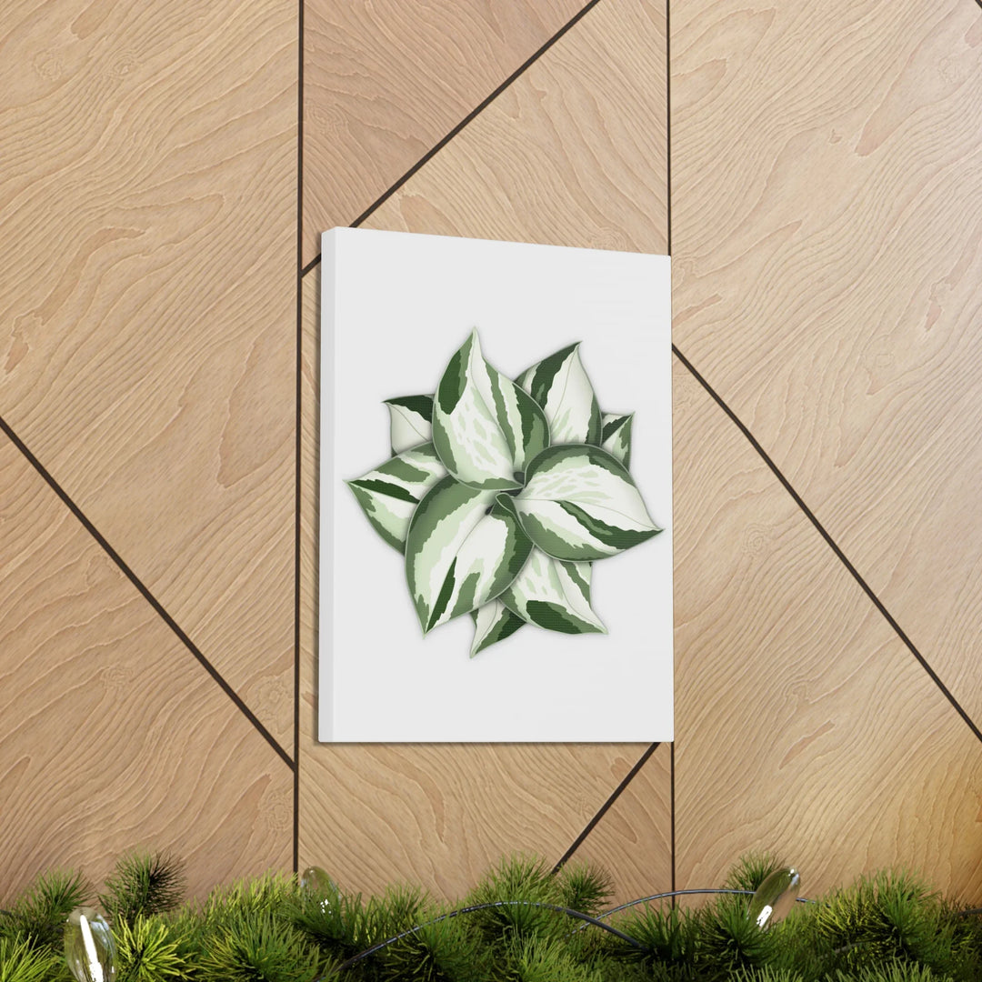 Manjula Pothos Canvas | Botanical Canvas Print - Indoor Plant Print Wall Art - Laura Christine Photography & Design