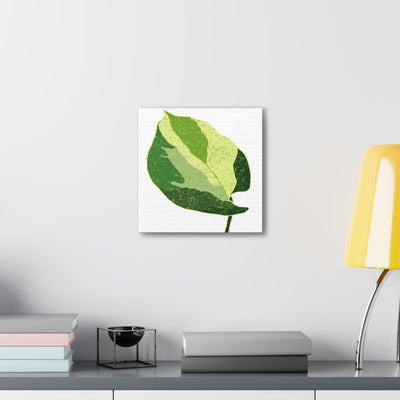 Manjula Pothos Canvas