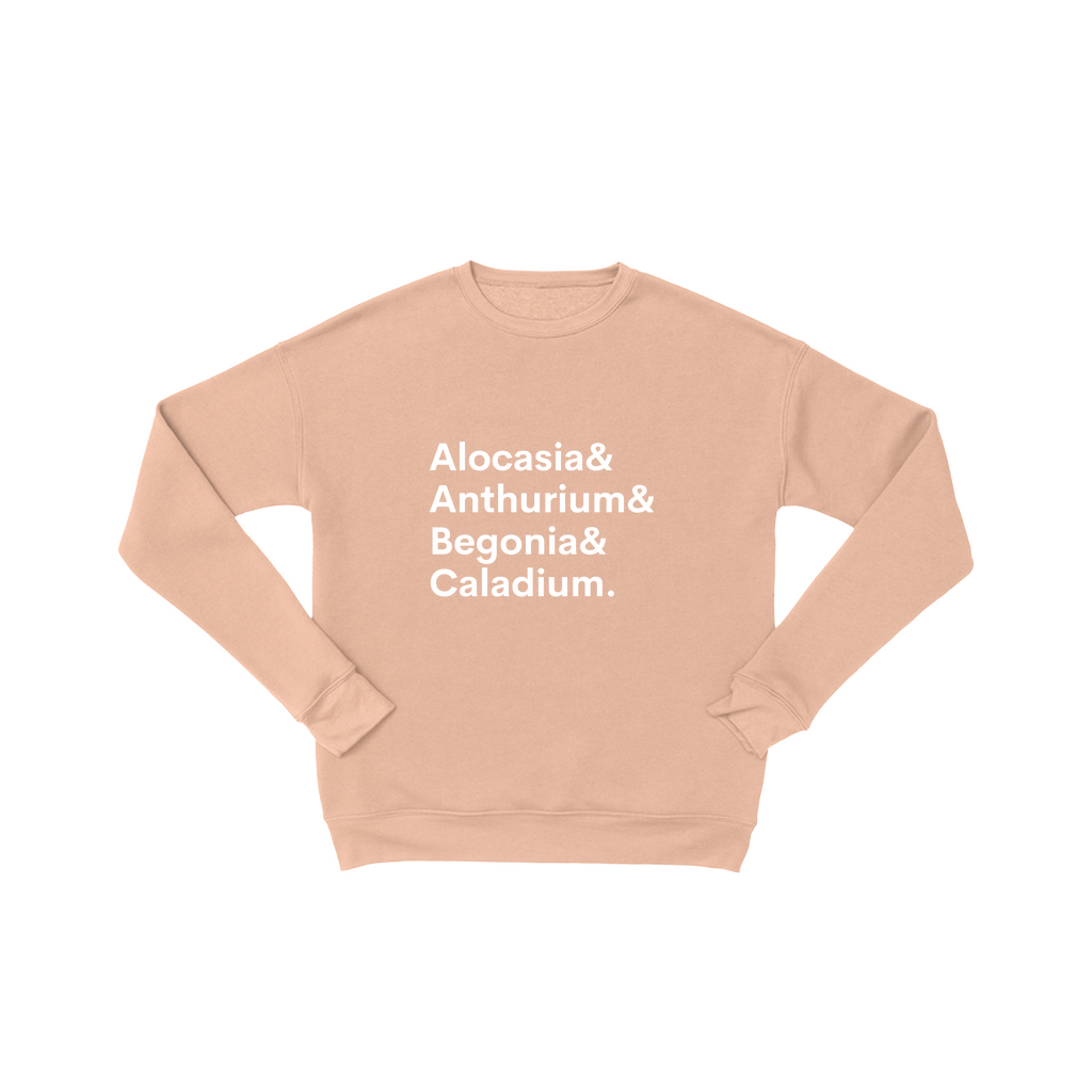 Apparel-DTG-Sweatshirt-Bella-3945-XL-Peach-Unisex-CF-20230122172744159