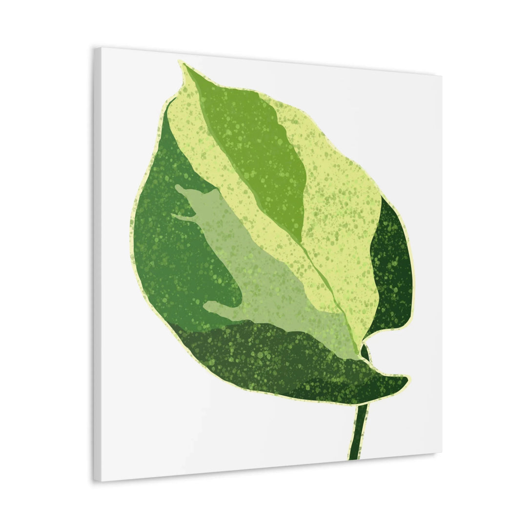Pothos Canvas Print – Matte Finish Canvas Art Print With Durable Cotton Material - Laura Christine Photography & Design