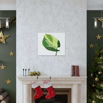 Manjula Pothos Canvas