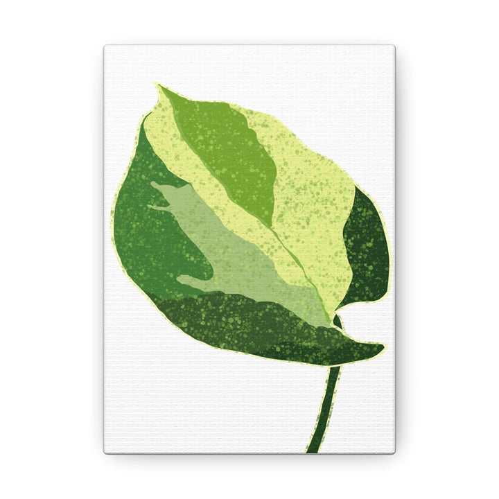 Pothos Canvas Print – Matte Finish Canvas Art Print With Durable Cotton Material - Laura Christine Photography & Design