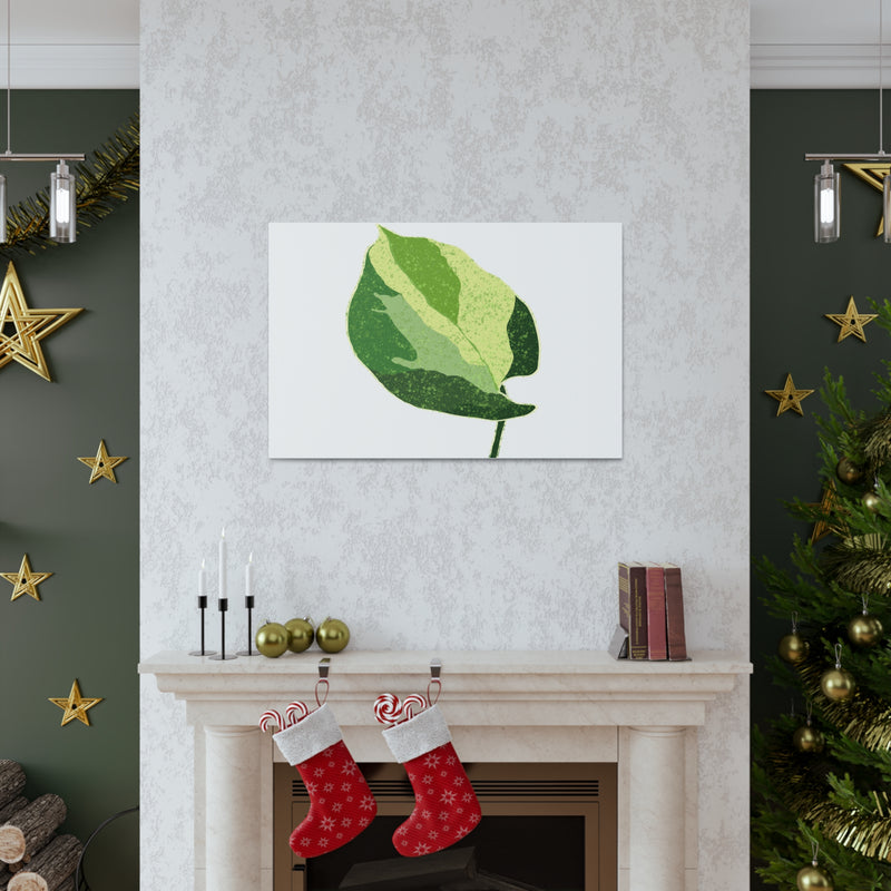 Manjula Pothos Canvas