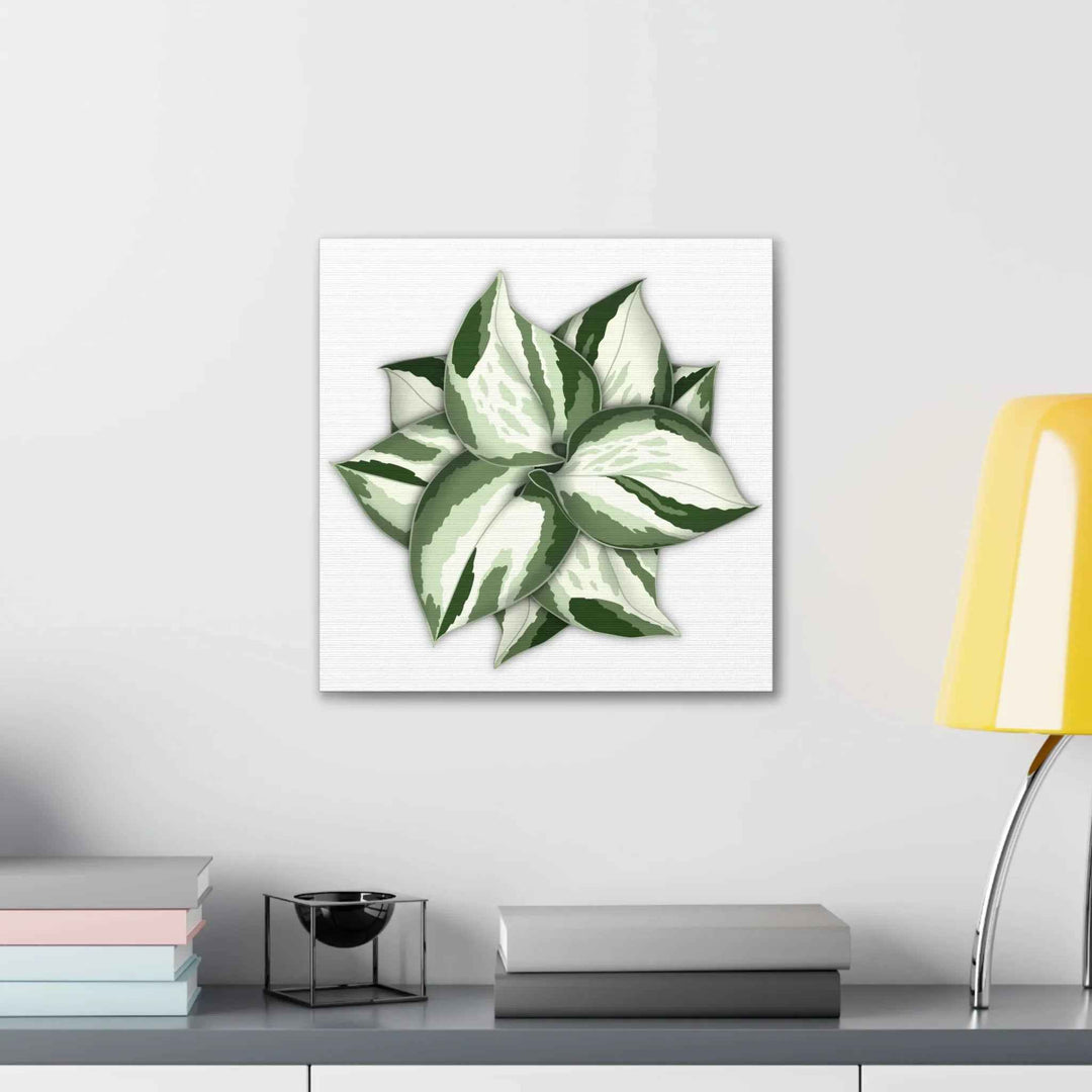 Manjula Pothos Canvas | Botanical Canvas Print - Indoor Plant Print Wall Art
