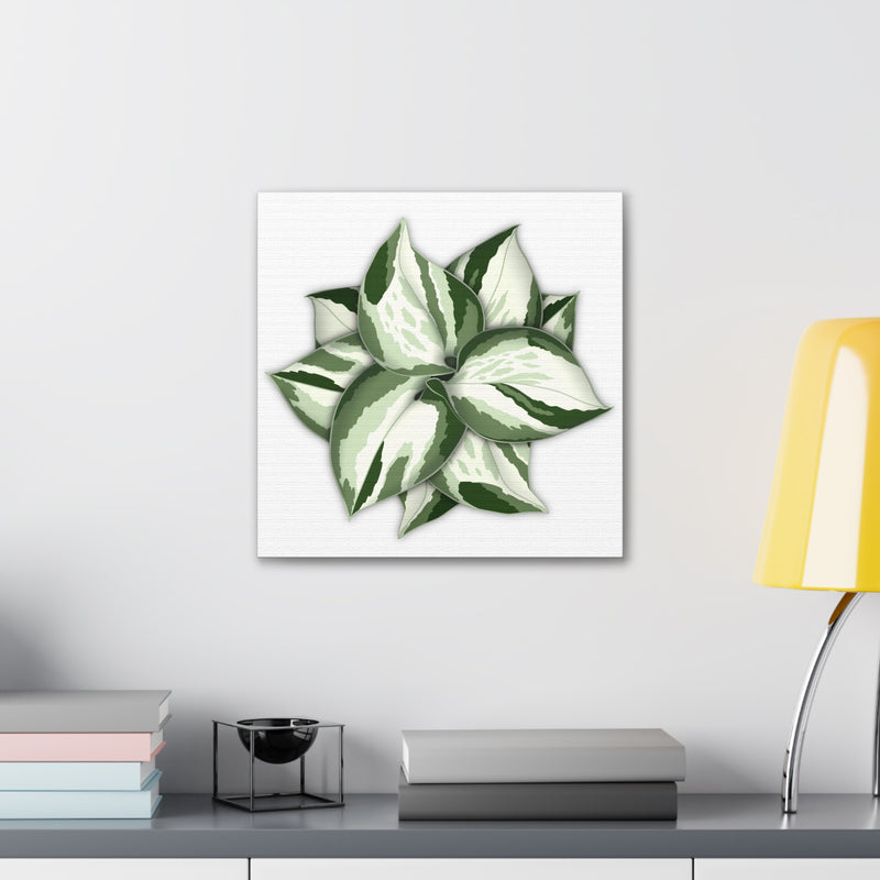 Manjula Pothos Canvas