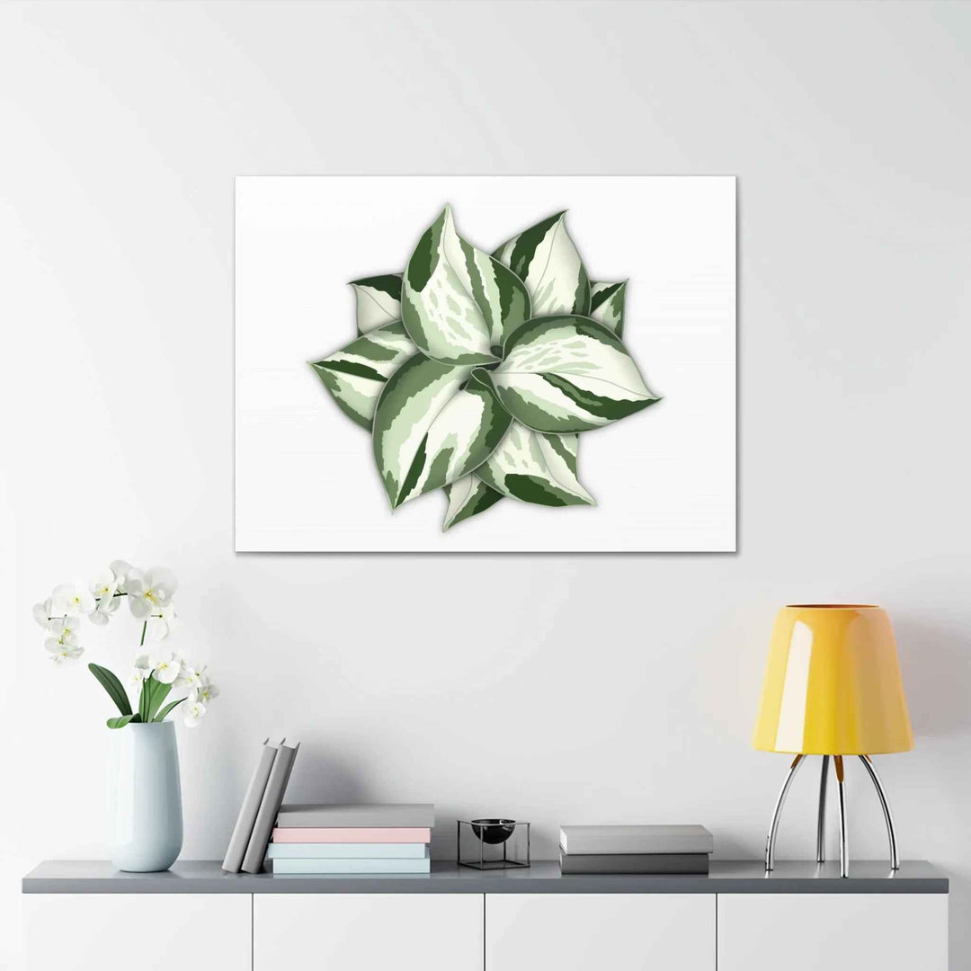 Manjula Pothos Canvas | Botanical Canvas Print - Indoor Plant Print Wall Art