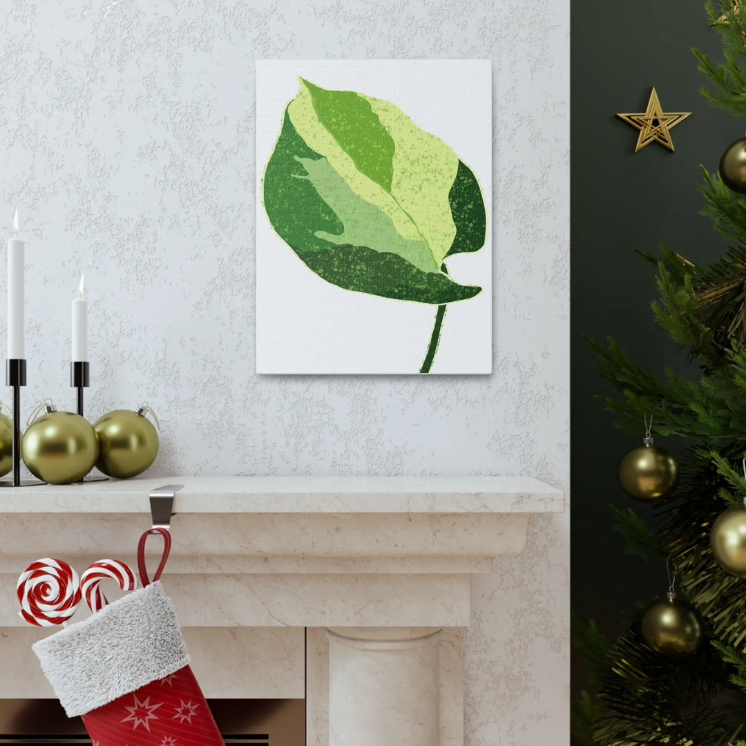 Pothos Canvas Print – Matte Finish Canvas Art Print With Durable Cotton Material - Laura Christine Photography & Design