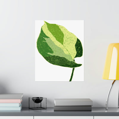 Manjula Pothos Print