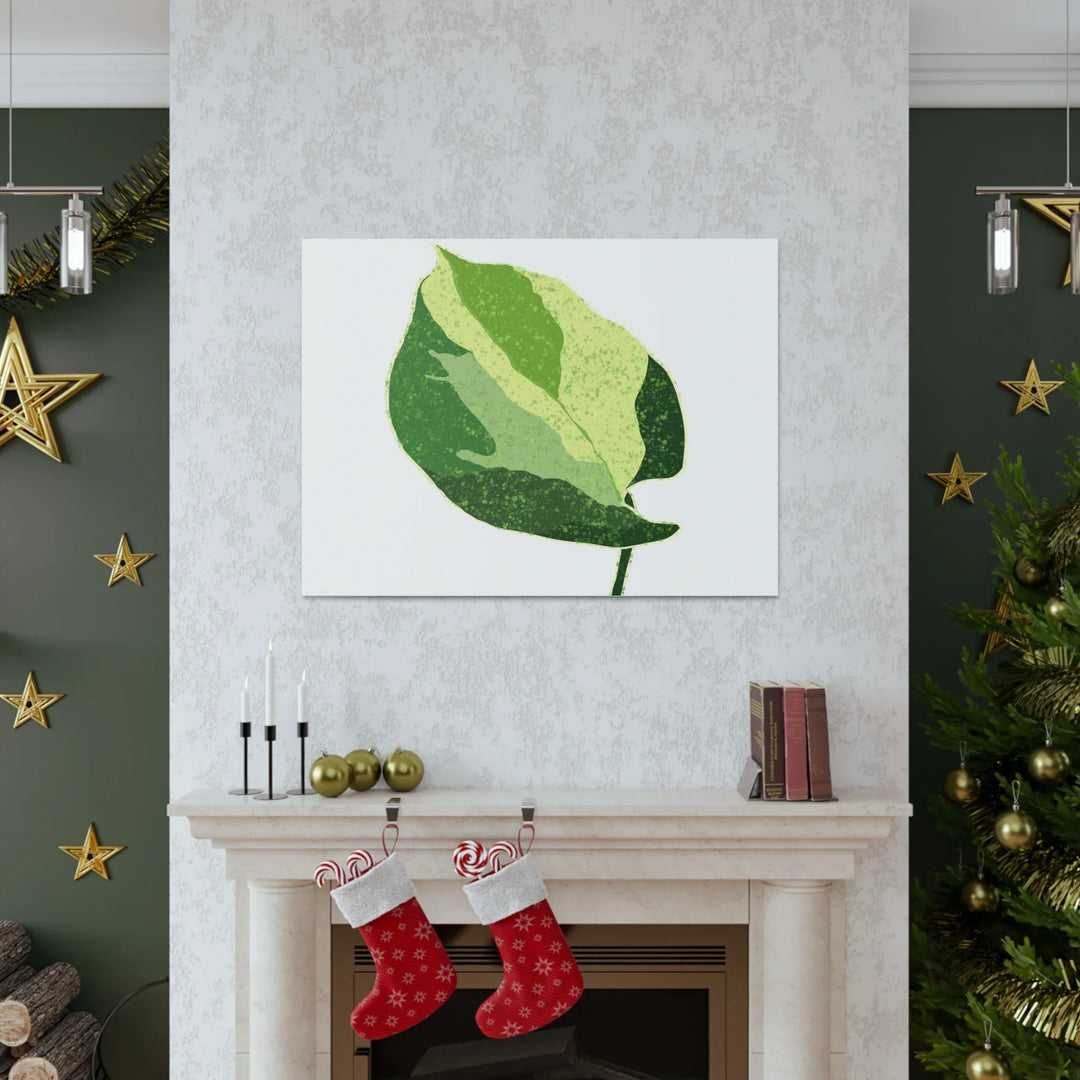 Pothos Canvas Print – Matte Finish Canvas Art Print With Durable Cotton Material - Laura Christine Photography & Design