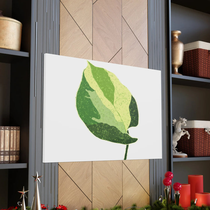 Pothos Canvas Print – Matte Finish Canvas Art Print With Durable Cotton Material - Laura Christine Photography & Design