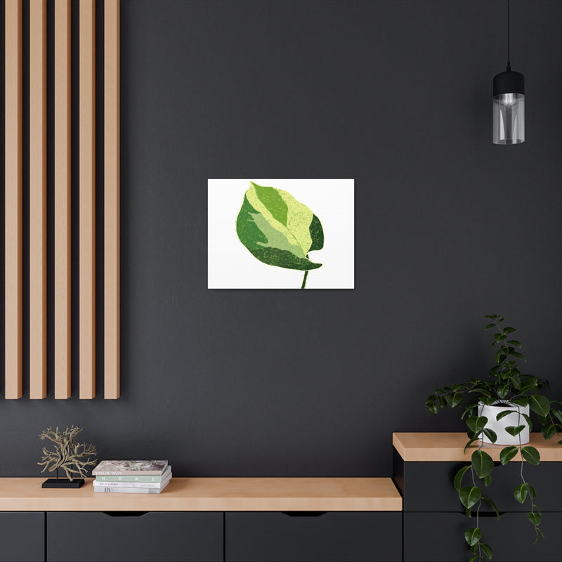 Manjula Pothos Canvas