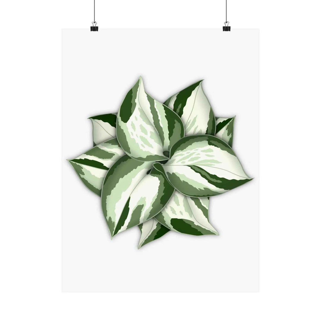Manjula Pothos Print – Botanical Wall Art | Green Leaf Wall Decor | Unframed