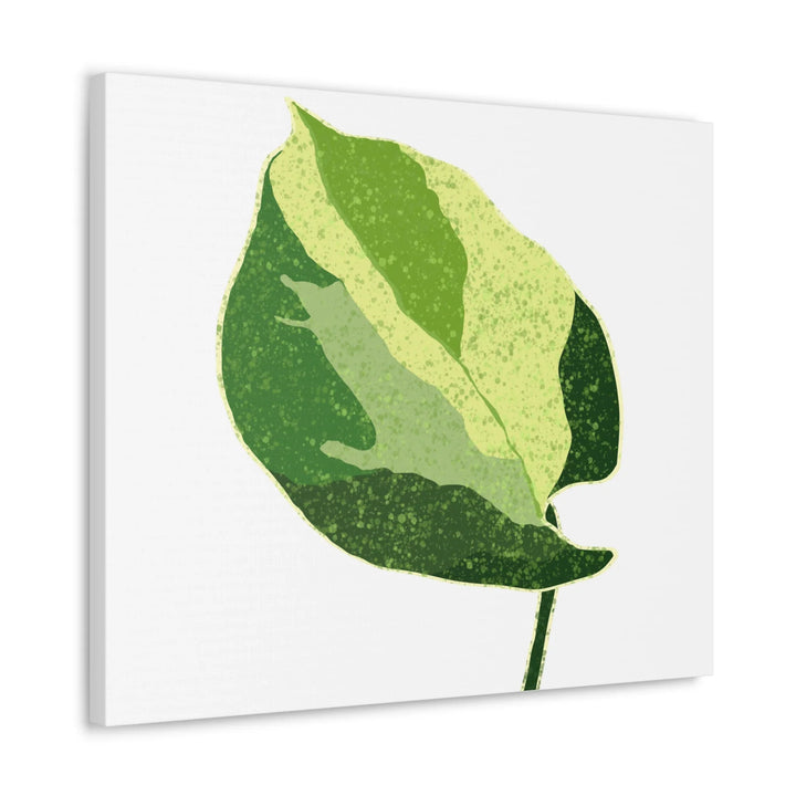 Pothos Canvas Print – Matte Finish Canvas Art Print With Durable Cotton Material - Laura Christine Photography & Design