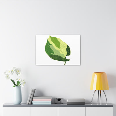 Manjula Pothos Canvas