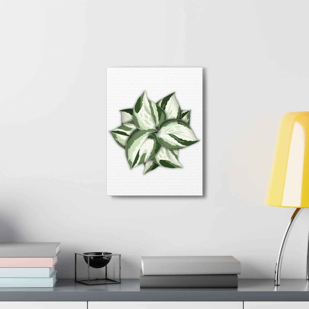 Manjula Pothos Canvas | Botanical Canvas Print - Indoor Plant Print Wall Art