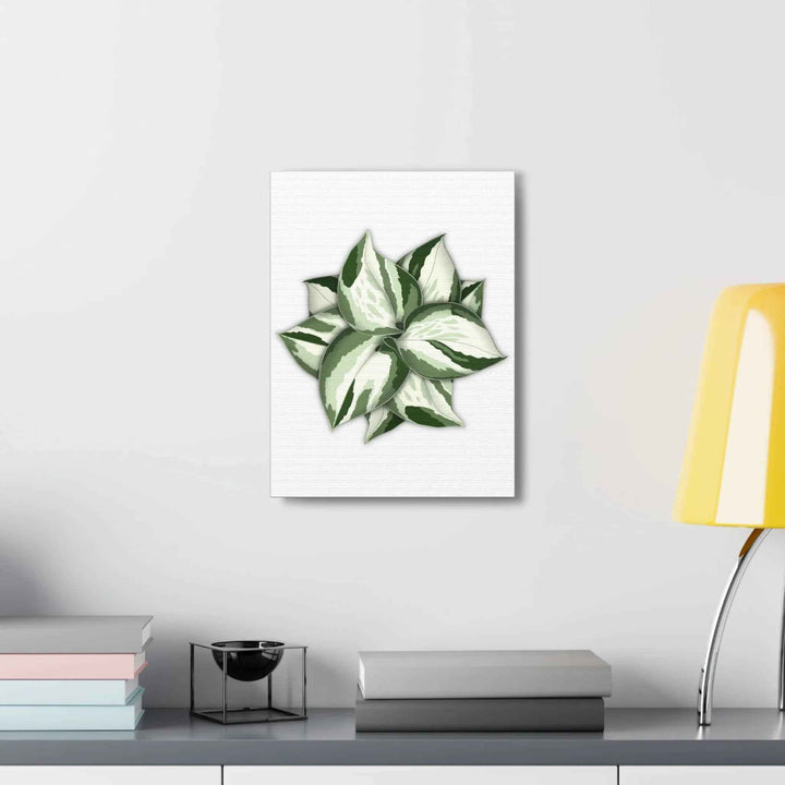 Manjula Pothos Canvas | Botanical Canvas Print - Indoor Plant Print Wall Art