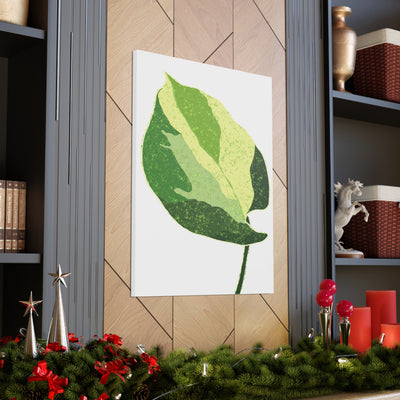 Manjula Pothos Canvas