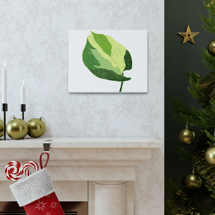 Pothos Canvas Print – Matte Finish Canvas Art Print With Durable Cotton Material - Laura Christine Photography & Design