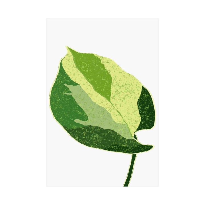 Pothos Wall Art – Botanical Poster on Museum Grade Paper | Indoor Plant Print Unframed