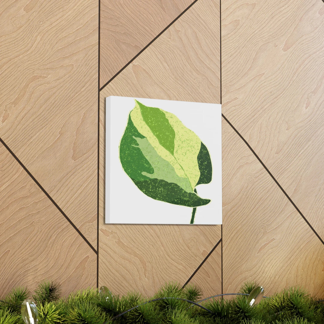 Pothos Canvas Print – Matte Finish Canvas Art Print With Durable Cotton Material - Laura Christine Photography & Design