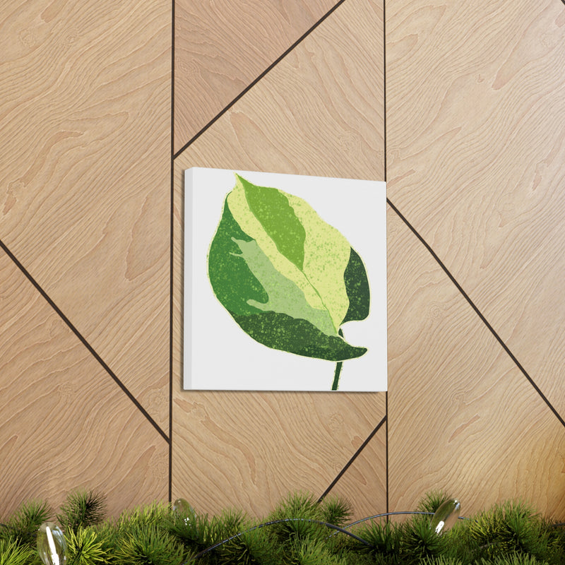 Manjula Pothos Canvas