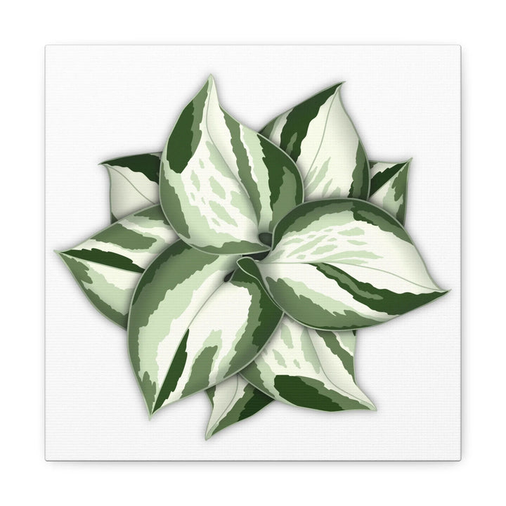 Manjula Pothos Canvas | Botanical Canvas Print - Indoor Plant Print Wall Art - Laura Christine Photography & Design