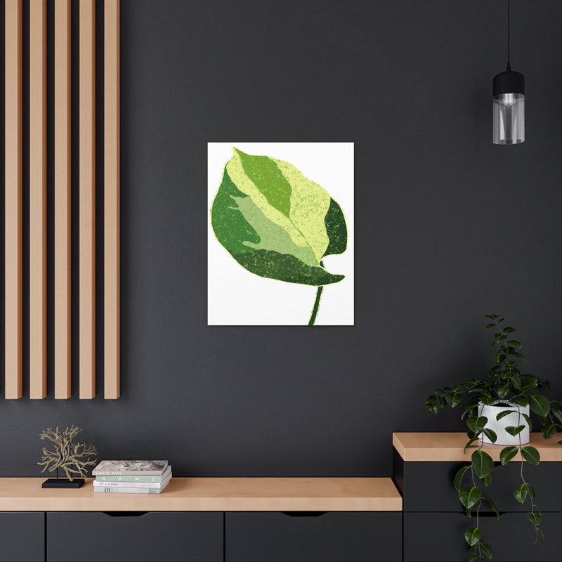 Manjula Pothos Canvas