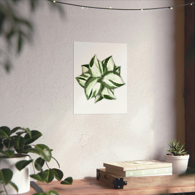 Manjula Pothos Print