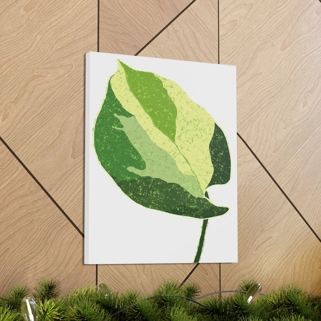 Pothos Canvas Print – Matte Finish Canvas Art Print With Durable Cotton Material - Laura Christine Photography & Design