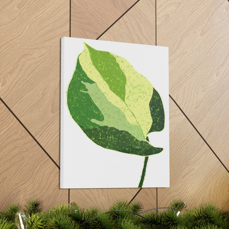 Manjula Pothos Canvas