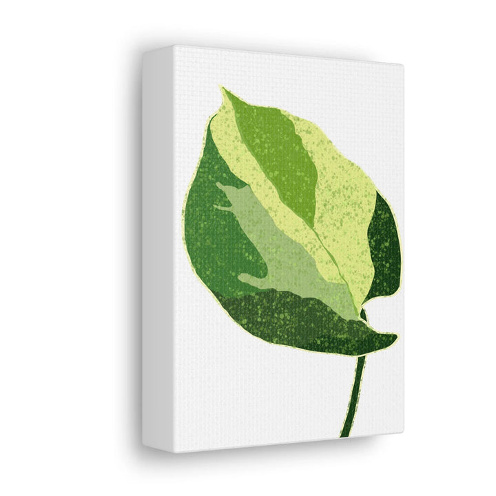 Pothos Canvas Print – Matte Finish Canvas Art Print With Durable Cotton Material - Laura Christine Photography & Design